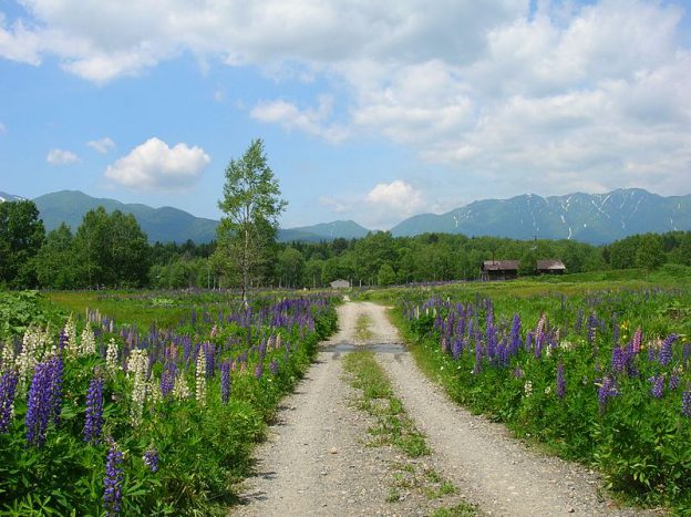 十勝三股 [秘境] kunimiyasoft