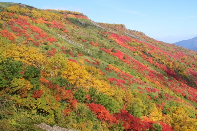 銀泉台の紅葉