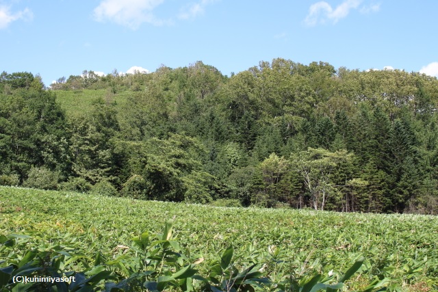 増田山