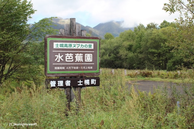 水芭蕉園