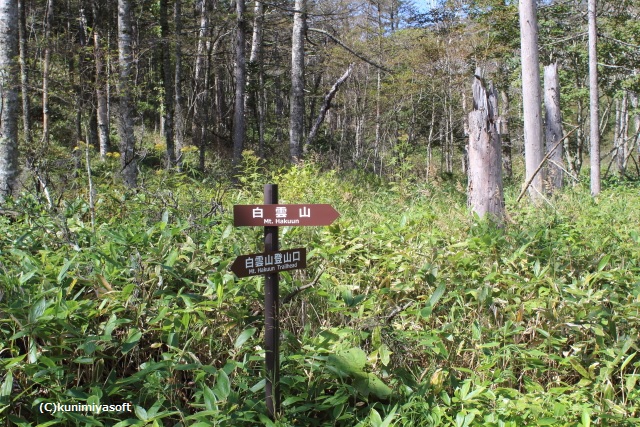 白雲山登山口