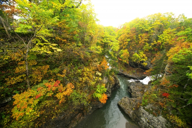 仙峡橋からの眺め