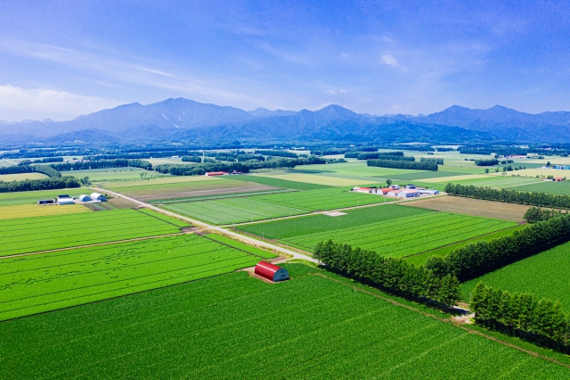 日高山脈