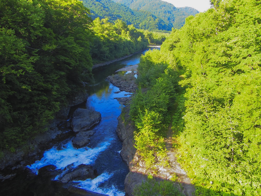 札内川園地7