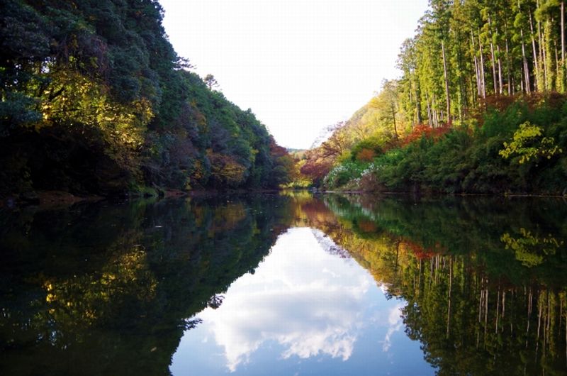 嵐山渓谷