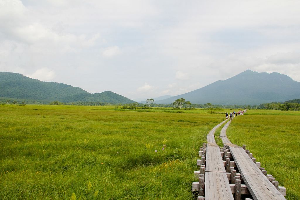 尾瀬ヶ原