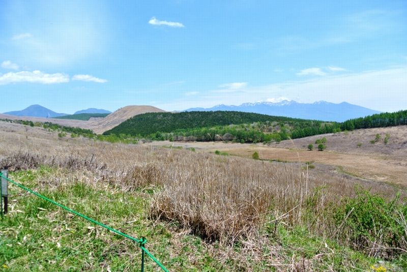 霧ヶ峰