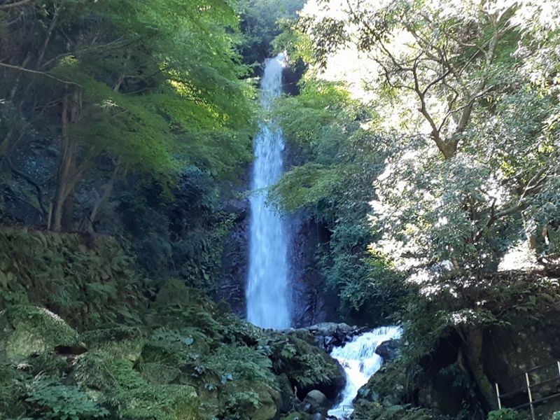 養老の滝