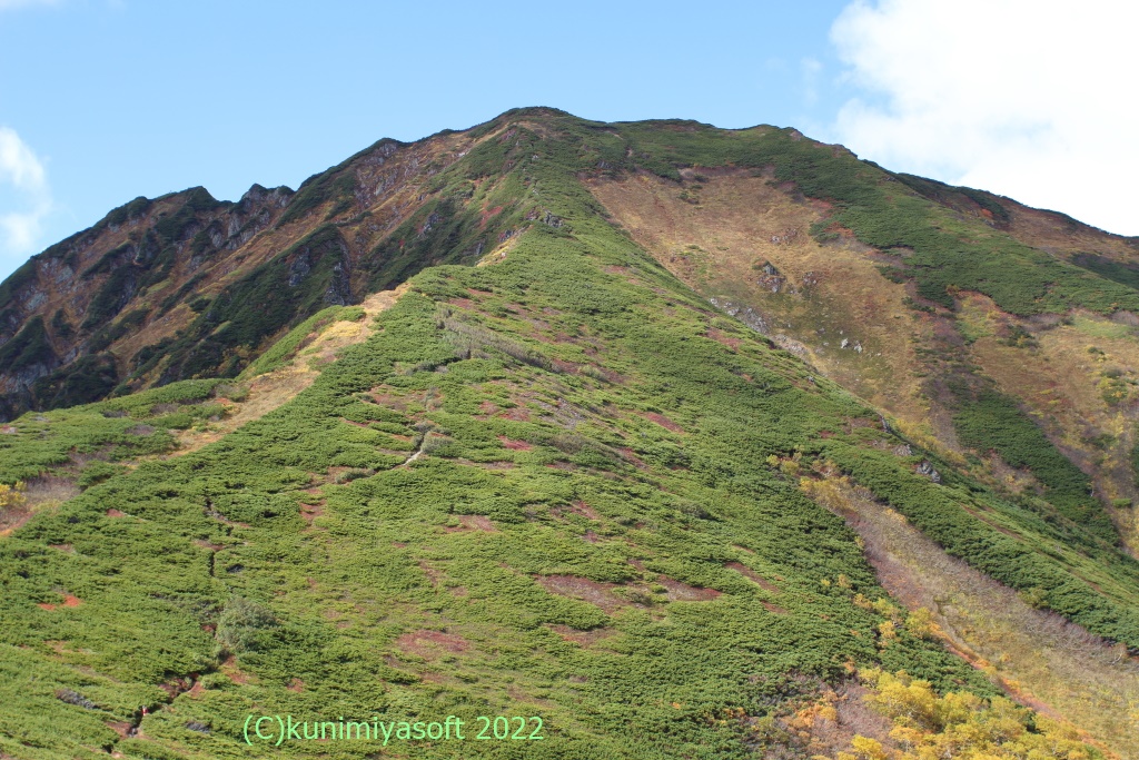 higashi-taisetsu5