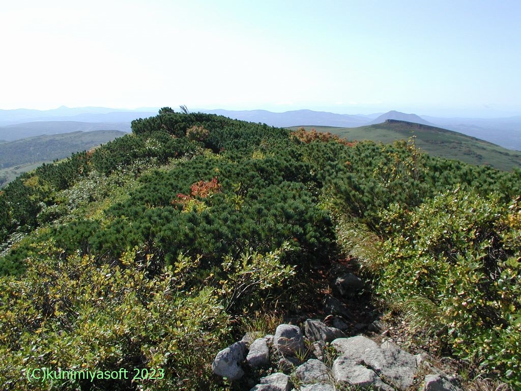 無意根山7