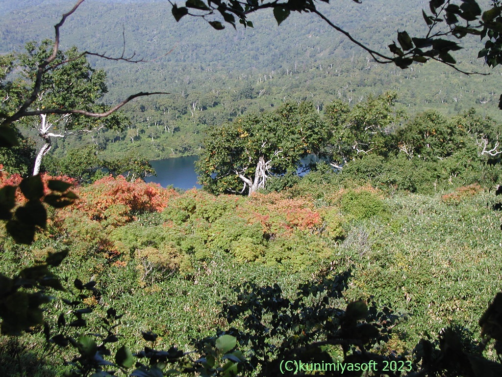 無意根山10