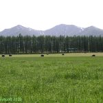 ペケレベツ岳 ～ 日高山脈にありながらお手軽登山