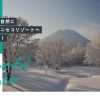 Niseko Resort Tourist Association Official Website