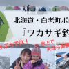 北海道・白老町ポロト湖『ワカサギ釣り』手ぶらでOK！氷上で天ぷら体験！ | しらおい